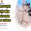 tour-du-lich-nhat-ban-6-ngay-5-dem-dip-30-thang-4-29